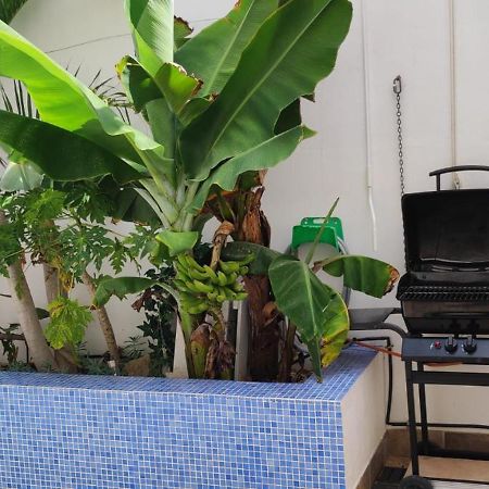 Casa El Olivo, Tenerife Valle de San Lorenzo Ngoại thất bức ảnh