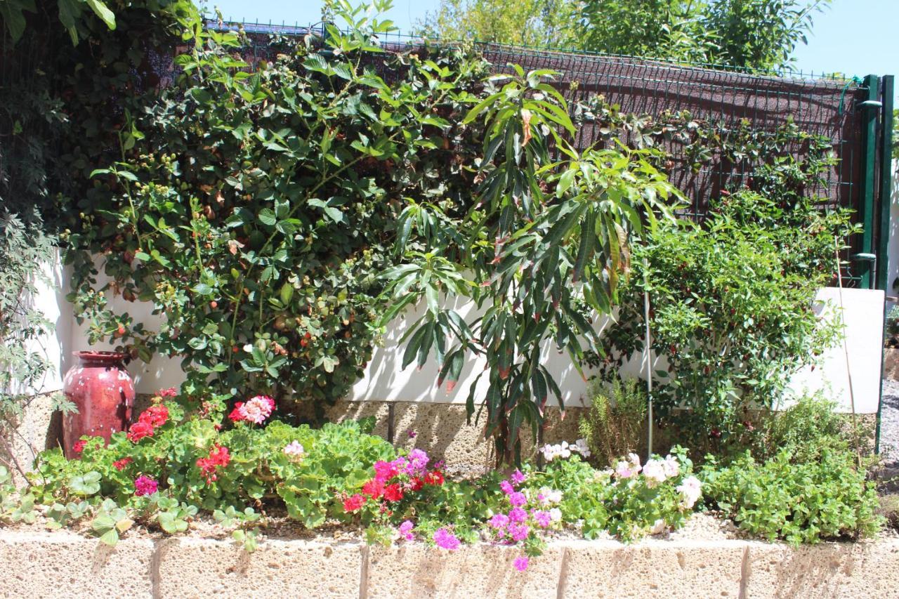 Casa El Olivo, Tenerife Valle de San Lorenzo Ngoại thất bức ảnh