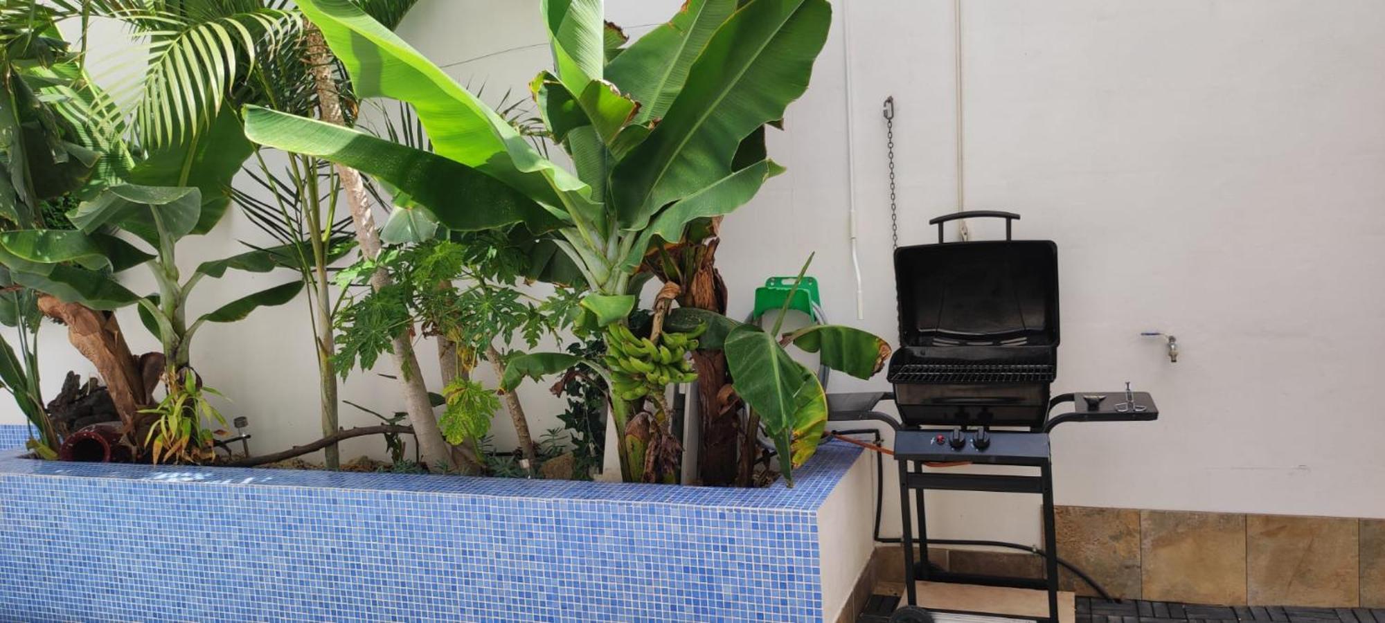 Casa El Olivo, Tenerife Valle de San Lorenzo Ngoại thất bức ảnh